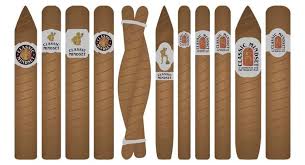 The Evolution of Cigar Shapes: How Form Affects Function and Flavor