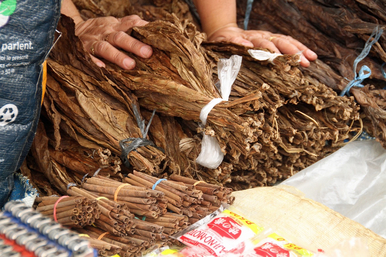 Wrapped in Flavor: How Wrapper Leaves Define the Soul of a Cigar