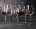 Spiegelau Definition Bordeaux Glass (Set Of 2)