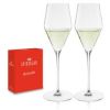 Spiegelau Definition Champagne Glass (Set Of 2)