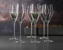 Spiegelau Definition Champagne Glass (Set Of 2)