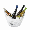 4 Bottle Modern Ice Bucket By True